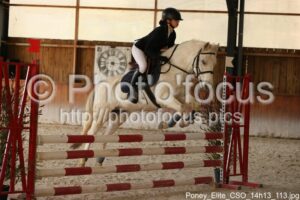 Poney_Elite_CSO_14h13_113.jpg