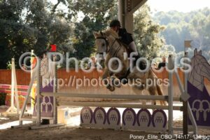 Poney_Elite_CSO_14h17_134.jpg