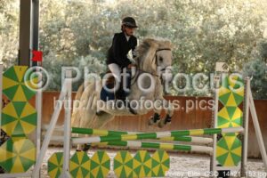 Poney_Elite_CSO_14h21_153.jpg