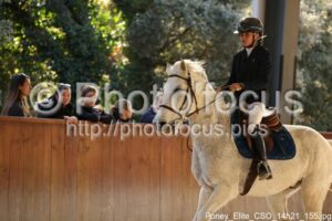Poney_Elite_CSO_14h21_155.jpg