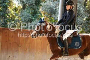 Poney_Elite_CSO_14h23_165.jpg
