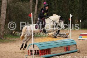 Poney_Elite_Cross_11h07_001.jpg