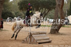 Poney_Elite_Cross_11h07_004.jpg