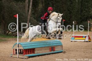 Poney_Elite_Cross_11h10_005.jpg