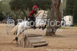 Poney_Elite_Cross_11h10_009.jpg