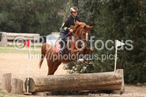 Poney_Elite_Cross_11h16_015.jpg