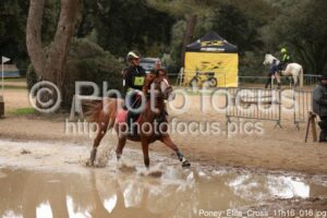 Poney_Elite_Cross_11h16_016.jpg