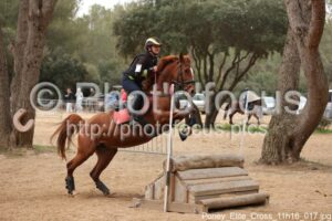 Poney_Elite_Cross_11h16_017.jpg