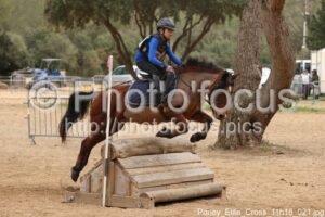 Poney_Elite_Cross_11h18_021.jpg