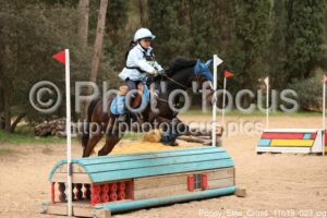 Poney_Elite_Cross_11h19_023.jpg
