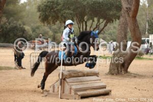 Poney_Elite_Cross_11h20_026.jpg