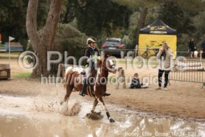 Poney_Elite_Cross_11h24_029.jpg