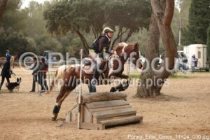 Poney_Elite_Cross_11h24_030.jpg