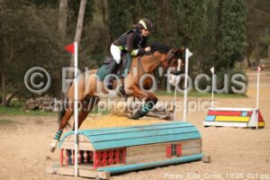 Poney_Elite_Cross_11h25_031.jpg