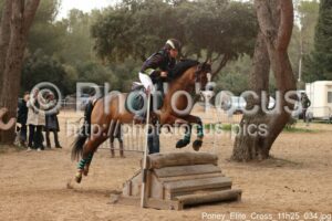 Poney_Elite_Cross_11h25_034.jpg