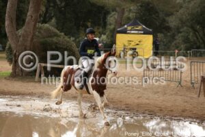 Poney_Elite_Cross_11h27_037.jpg