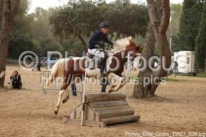 Poney_Elite_Cross_11h27_038.jpg