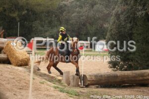 Poney_Elite_Cross_11h29_040.jpg