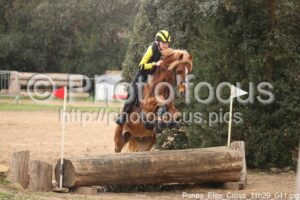 Poney_Elite_Cross_11h29_041.jpg