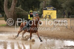 Poney_Elite_Cross_11h29_042.jpg