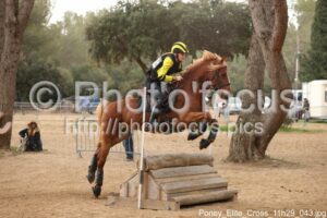 Poney_Elite_Cross_11h29_043.jpg