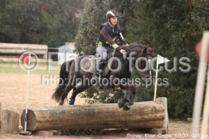 Poney_Elite_Cross_11h31_045.jpg
