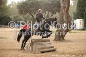 Poney_Elite_Cross_11h31_047.jpg