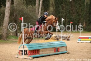 Poney_Elite_Cross_11h32_048.jpg