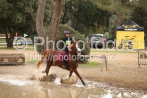 Poney_Elite_Cross_11h32_050.jpg