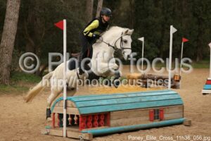 Poney_Elite_Cross_11h36_056.jpg