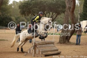 Poney_Elite_Cross_11h37_059.jpg