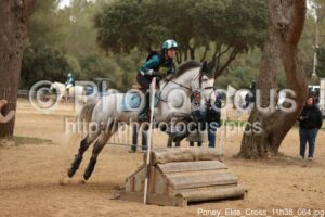 Poney_Elite_Cross_11h38_064.jpg