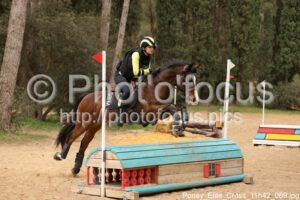 Poney_Elite_Cross_11h42_069.jpg