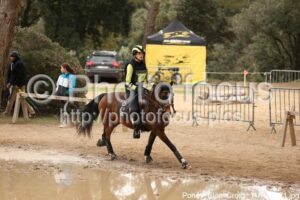 Poney_Elite_Cross_11h43_071.jpg