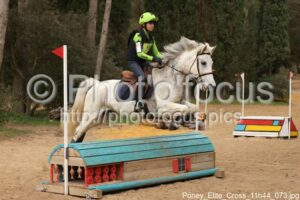 Poney_Elite_Cross_11h44_073.jpg