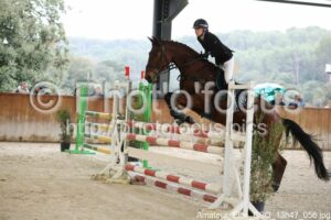 Amateur_Elite_CSO_13h47_056.jpg