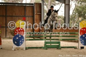 Pro_3_CSO_13h03_049.jpg
