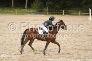 Amateur_3_CL2_CL3_CSO_15h25_107.jpg