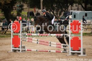 As_Poney_1_CSO_12h26_001.jpg