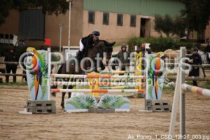 As_Poney_1_CSO_12h27_003.jpg
