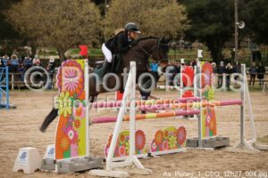 As_Poney_1_CSO_12h27_004.jpg