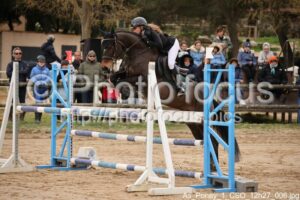 As_Poney_1_CSO_12h27_006.jpg