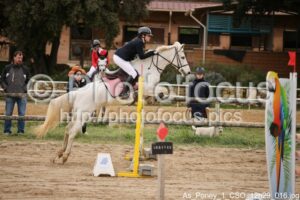 As_Poney_1_CSO_12h29_016.jpg