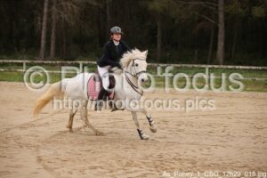 As_Poney_1_CSO_12h29_018.jpg