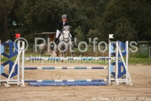As_Poney_1_CSO_12h31_024.jpg