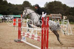 As_Poney_1_CSO_12h31_025.jpg