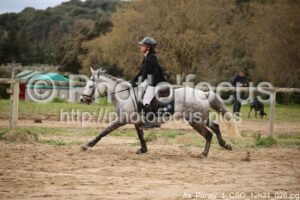 As_Poney_1_CSO_12h31_026.jpg