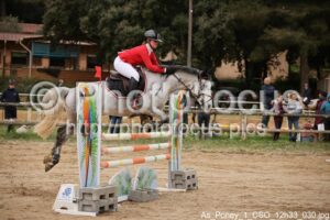 As_Poney_1_CSO_12h33_030.jpg