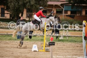 As_Poney_1_CSO_12h33_033.jpg