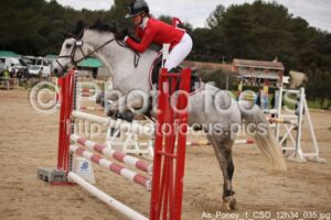 As_Poney_1_CSO_12h34_035.jpg